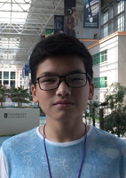 Adil Shayakhmetov photo